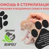 Помощь в стерилизации бездомных и домашних собак и кошек